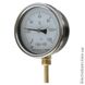 Термометр биметаллический ТБУ-100 радиальный